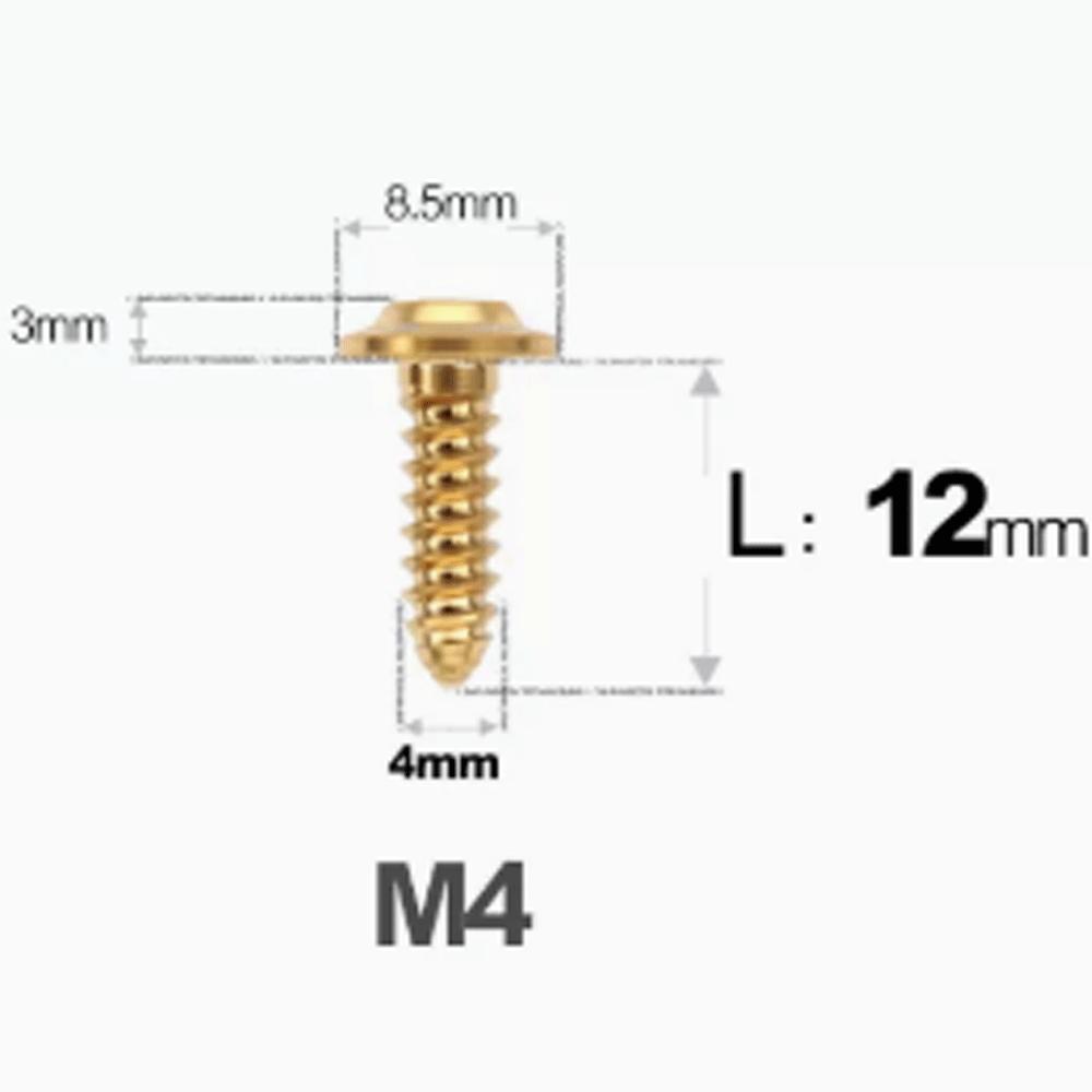 1 Pcs M4 M5 M6 X 12/14/16/20-55mm GR5 TC4 Titanium Alloy Screw Self-tapping  Torx Head Flange Motocycle Case