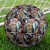 Messi 10 Number World Champions Size 5 Football Machinestitched Indooroutdoor Universal Football Unique Gift For Soccer Lovers Birthdaychristmas Weddi