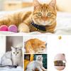 Cat Treat Dispenser Toy Kitten Snacks Temptation Ball Cat Treat Dispenser Cat Treat Feeder Toy With Catnip Balls For