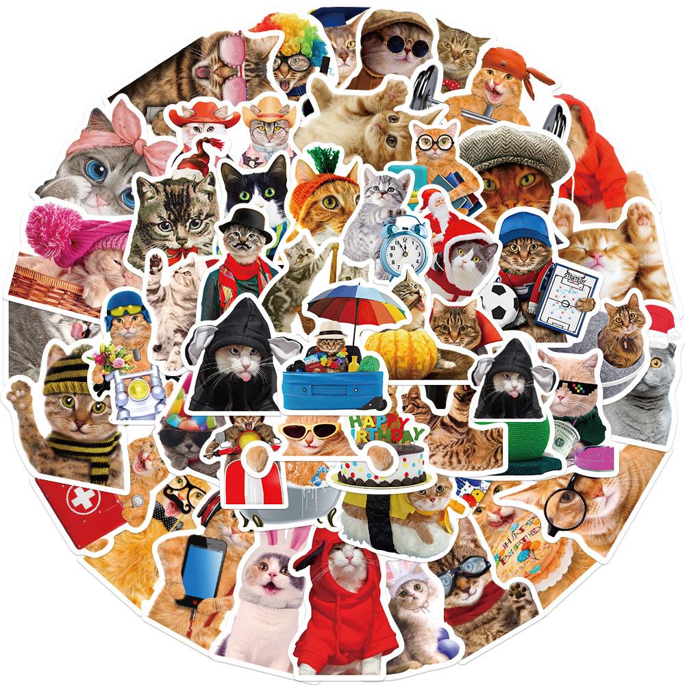 10/30/50pcs Cute Funny Animal Cat Meme Stickers Creative Cartoon Sticker Water Bottle Notebook Phone Graffiti Decals Decoration