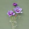 77CM Length Artificial Cosmos Flower Branch Elegant Design Fake Flowers  Photography Background