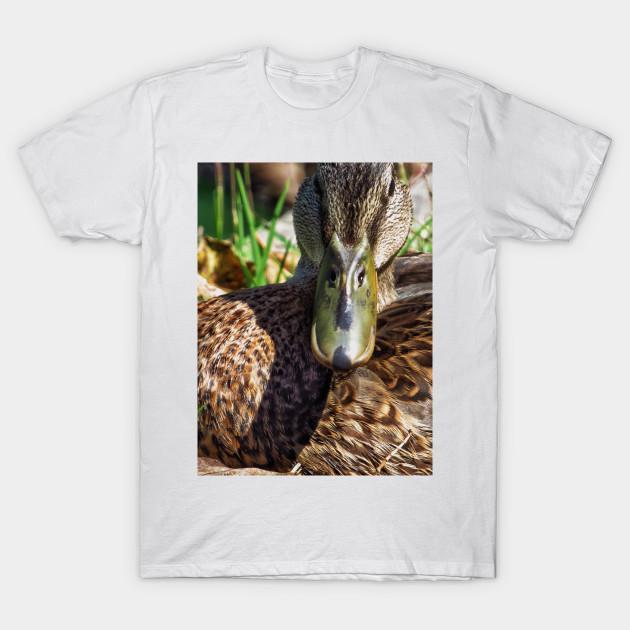 Men Black Print T-shirt Who Are You Looking At No-Cut Transfer Paper Print Cotton Tshirt 2XL