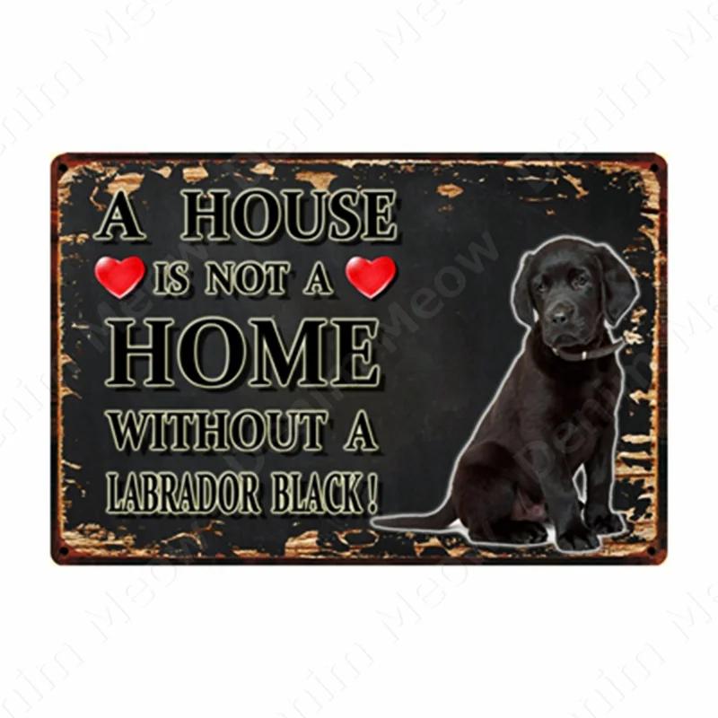 A House Is Not A Home Without A Dog Plaque, Vintage Metal Tin Signs, Bar, Cafe, Home Decor, Springer Spaniel, Wall Art Poster