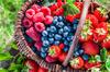 Ecological seed dressing for seeds, natural, rich composition, Power Seed, 5g