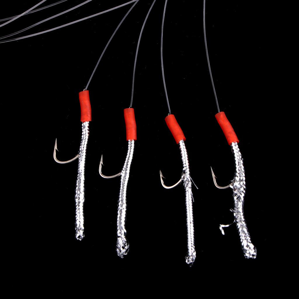 Baits Rigs Hooks for Bass Perch Carp