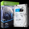 Seagate SkyHawk 4TB Surveillance Hard Drive