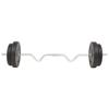 VidaXL Dumbbell Set 30 Kg Fitness Bodybuilding Weights Bars Plates 91399