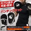 by a Former Professional by a Former Japanese Fight Lab Punching Mitts to Accelerate Your Skill Boxing Mitts with Video Instructions and Set of 2 and