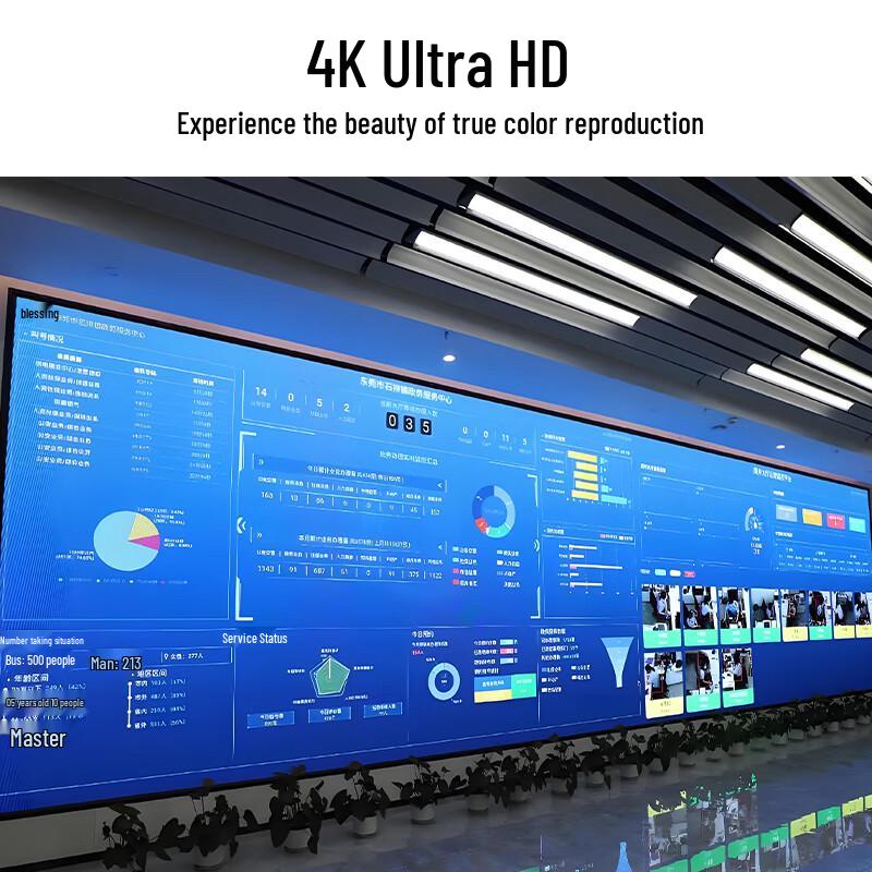 Indoor P1.25 Full-Color LED Display CN plug (adapter included)