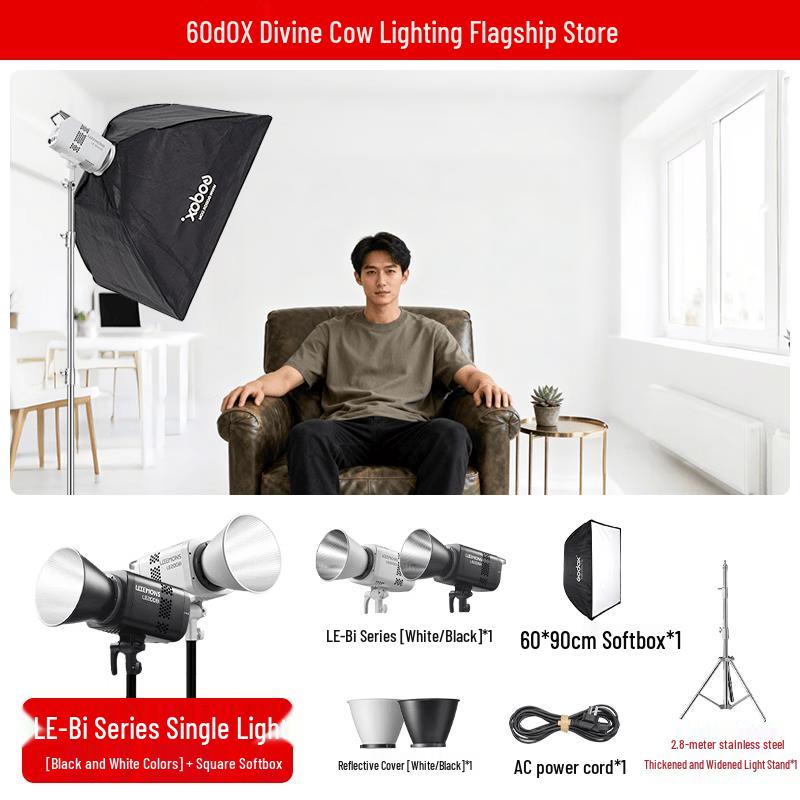 Godox LE200Bi Bi-Color LED Video Light