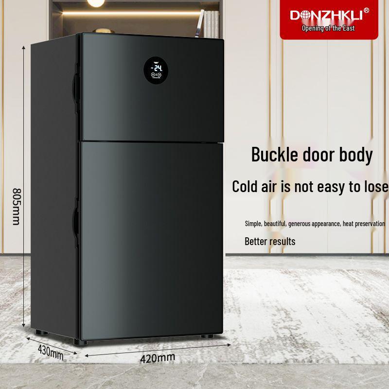 Dongzhi Compact Energy-Saving Two-Compartment Mini Fridge for Dorms & Rentals