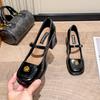 Temperament retro Mary Jane small leather shoes women's spring and autumn new thick heel single shoes