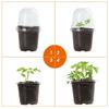 10/20Pcs Seedling Nursery Cup Thickened 3.5/4/5/6 Inch PET Garden Herb Flower Cultivation Seeds Germinate Seedling Pot with Lid