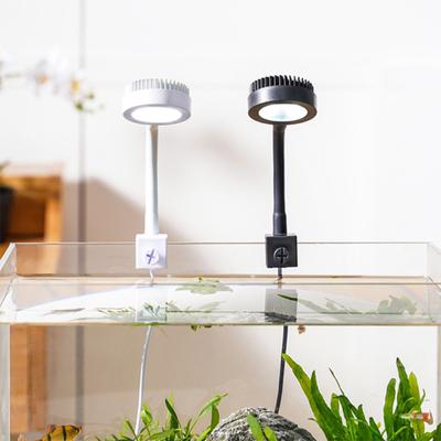 Akvariedjur – Akvariebelysning