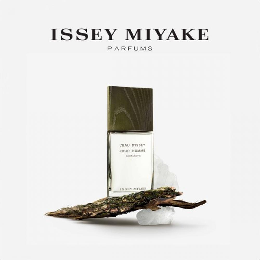 IssEy MiyakE Eau   C DrE Edt 100mL L Odyss E Pour hommE