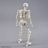 BANDAI SPIRITS 30MF Duroskeleton Color-Coded Plastic Model 1/144 Scale