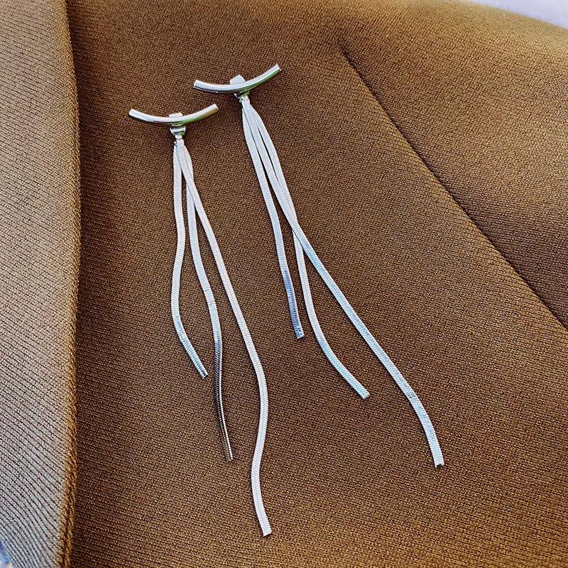 S925 Silver Needle Temperament Long Metal Tassel Earrings Cold Wind Snake Chain Removable As Stud Single Wear