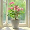 Dekorative Eisenblumenstecker Gartenornament Geeignet für Gartenweg Terrassen Dekoration & Outdoor-Pflanzenstützsystem