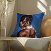 AAAP RRocky Pillow Case Pattern Printed Pillowcase for Living Room Sofa Cushion Cover  Bedroom Decor