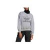 Adidas Originals SS25 Casual Comfortable Soft Skin-Friendly Sweatshirt Women Sweatshirt Ice-Grey JD2588