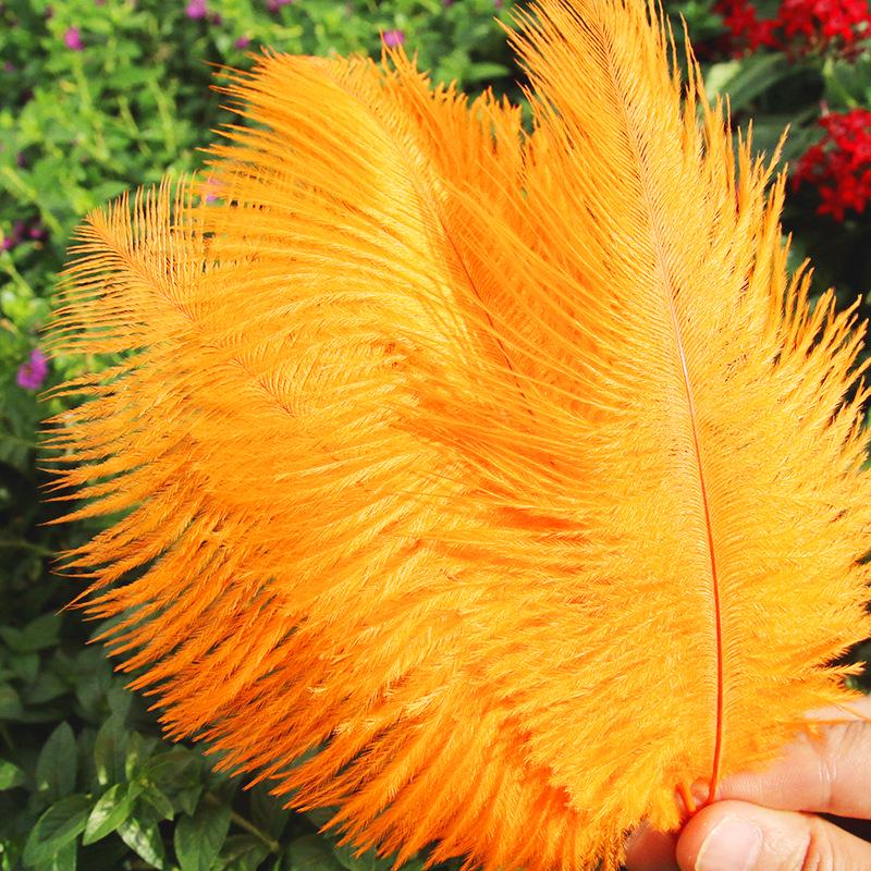 Large 15-20cm Ostrich Feathers for Wedding Arrangements and Stage Props