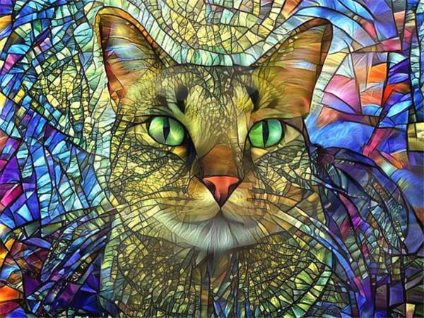 5d Diamond Painting Pes DIY Mozaika Zvíře Plný Kulatý Čtverec Diamantové vyšívání Křížkový steh Kamínky Obrázky Nástěnné umění