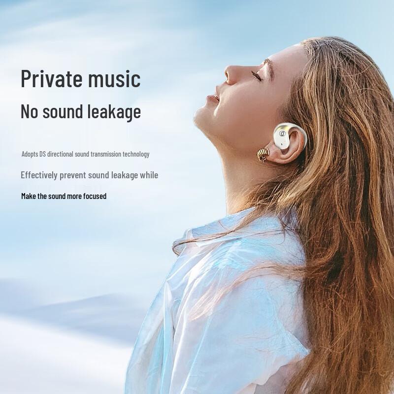 Bach Johann BH-ARC Open-Ear Wireless Sports Headphones