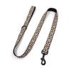 Black Buckle Dog Collar & Leash - Trendy Cross-border Pet Walking Set