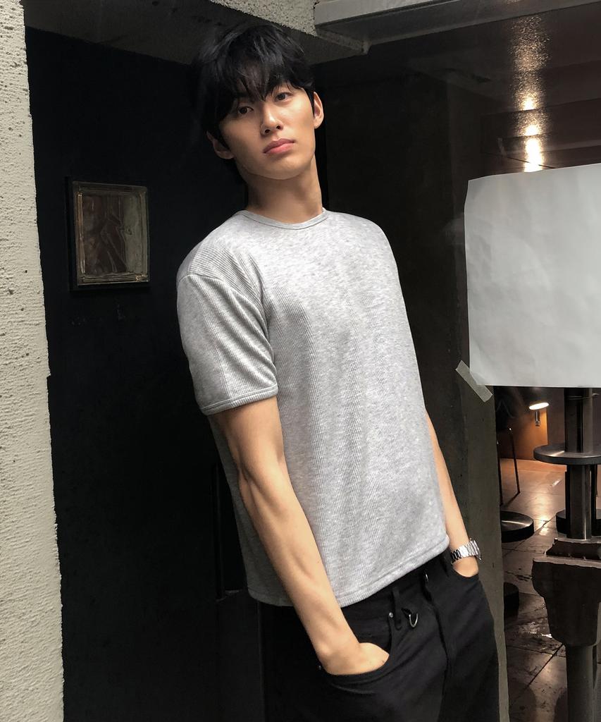 Dei Crop Ribbed Short Sleeve T-Shirt_5 Colors