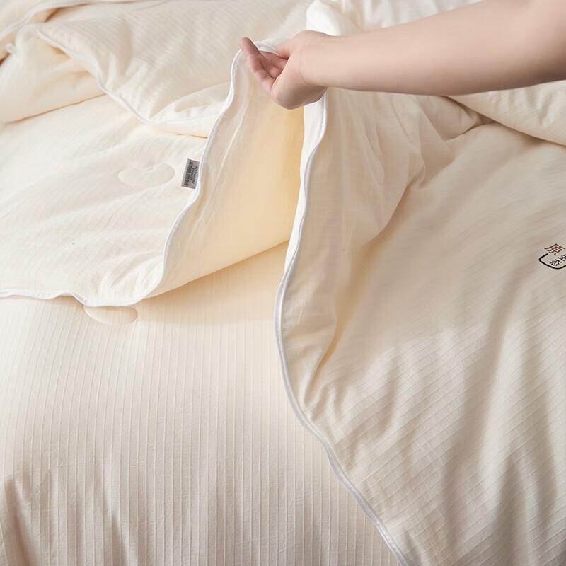 HodoHome Klasse A Sojabohnenfaser Ganzjahres-Duo-Bettdecke