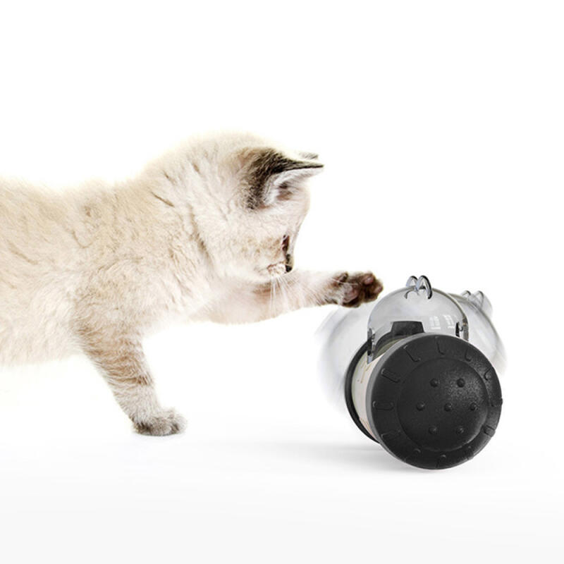 Pet Otuki Nasenarbeitsball (Schwarz)