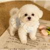 Summer Pet Lace Skirt Lightweight Cat And Dog Bowknot Lace Vest Thin Cute Princess Style Clothing For Teddy Bichon Small Puppies