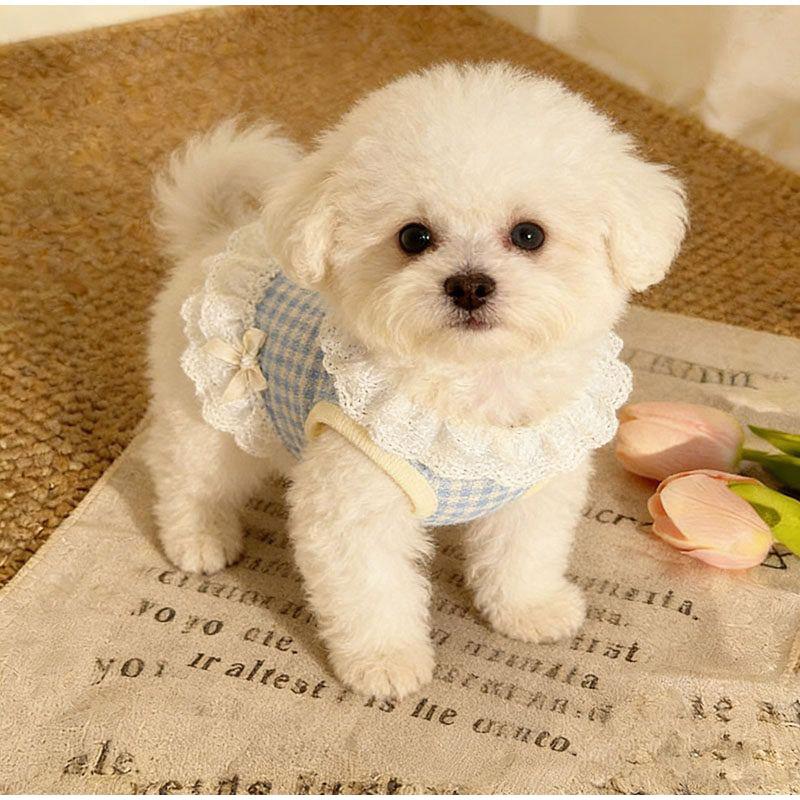 Summer Pet Lace Skirt Lightweight Cat And Dog Bowknot Lace Vest Thin Cute Princess Style Clothing For Teddy Bichon Small Puppies