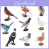 Detailed Pvc Bird Models For Home Decor Featuring Doves Magpies And Sparrows Collection
