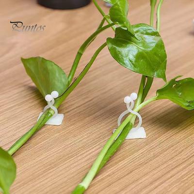 50Pcs Useful Strong Load-bearing Solid Color Vine Wall Hook Scindapsus Green Plant Climbing Wall Fixing Clip Planting Accessories