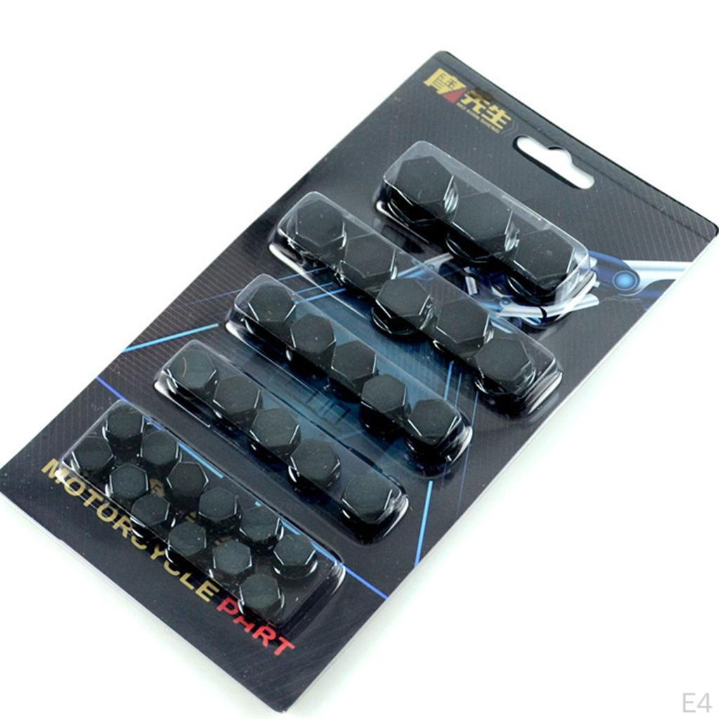 30 Piece Stainless Motorcycle Screw Kit for