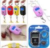 Digital Hanging Scale with Battery New 25Kg X 5g  Mini Electronic Luggage Hook Scale LCD Backlight Kitchen Steelyard