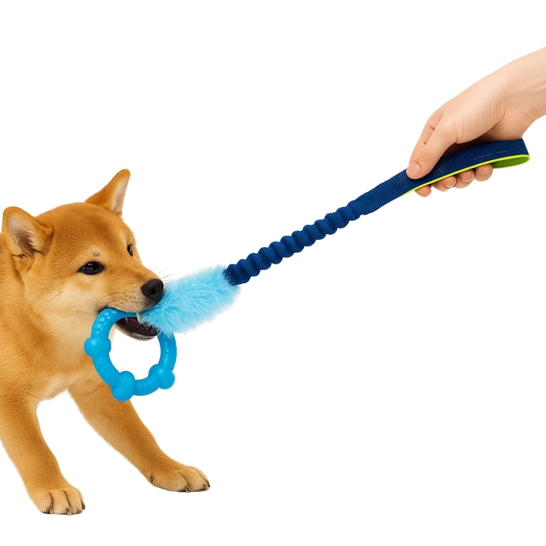 

JP Number Dog Elastic Chew Educational Pull for Small and Medium Stress Exercise Relief Toy, Rope, Toy, Toy, Ring, Dogs, Relief, синий