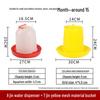 Automatic Chicken Feeder & Drinker Set: Feed Bucket & Trough for Chicks