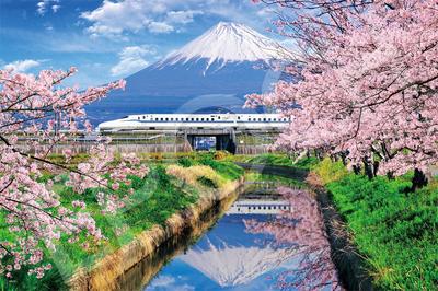 Epoch Jigsaw Japanese Landscape with Cherry and the Shinkansen X 75 Includes and Score Ticket 1000-Piece Puzzle Blossoms, Mt. Fuji, (Shizuoka) (50