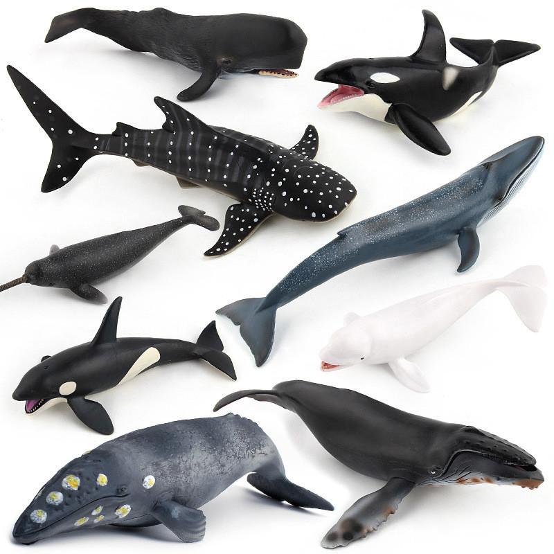 Realistic Blue Whale Pvc Marine Animal Figures For Educational Toys And Display