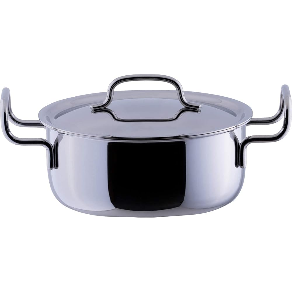 Miyazaki Seisakusho Geo Double-Handled Pot 20cm Made in Japan IH Compatible All Heat Source