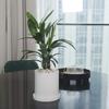 Ekirlin Flower Ceramic Saucer Drain Pure Potted Interior Pot, Pot, White, Stylish, Included, Hole, 15.7cm, No. 6, Color, Houseplant, Pot, Planter,