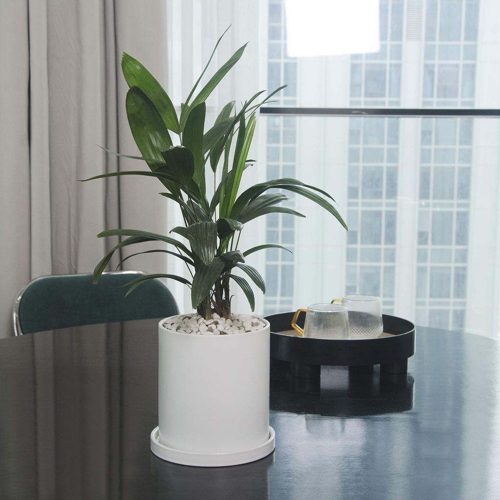 Ekirlin Flower Ceramic Saucer Drain Pure Potted Interior Pot, Pot, White, Stylish, Included, Hole, 15.7cm, No. 6, Color, Houseplant, Pot, Planter,