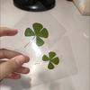 5PCS Lucky Four-Leaf Clover Natural Original Grass Transparent Card Bookmark Wishing Simple Style Transparent Card