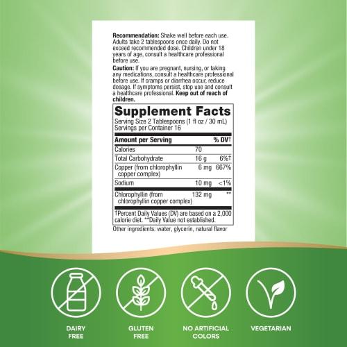 Chlorofresh Liquid Mint 480ml