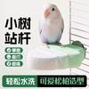 Parrot Perch Stand With Sanding Surface Beak Claw Maintenance Medium Size Bird Cage Accessory In Green Purple Pink