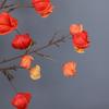 Long Branches Artificial Lantern Fruits Bouquets Red Plastic Fake Flower  Home Vase Decor