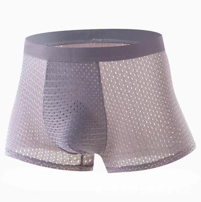 Herren Eisseide Mesh Sport Boxershorts