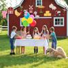 Farm Animals Party Decorations Farm Birthday Hanging Swirls, Assembled and Ready To Use, Countryside Party Decor Supplies Hanging Swirl Kids Party